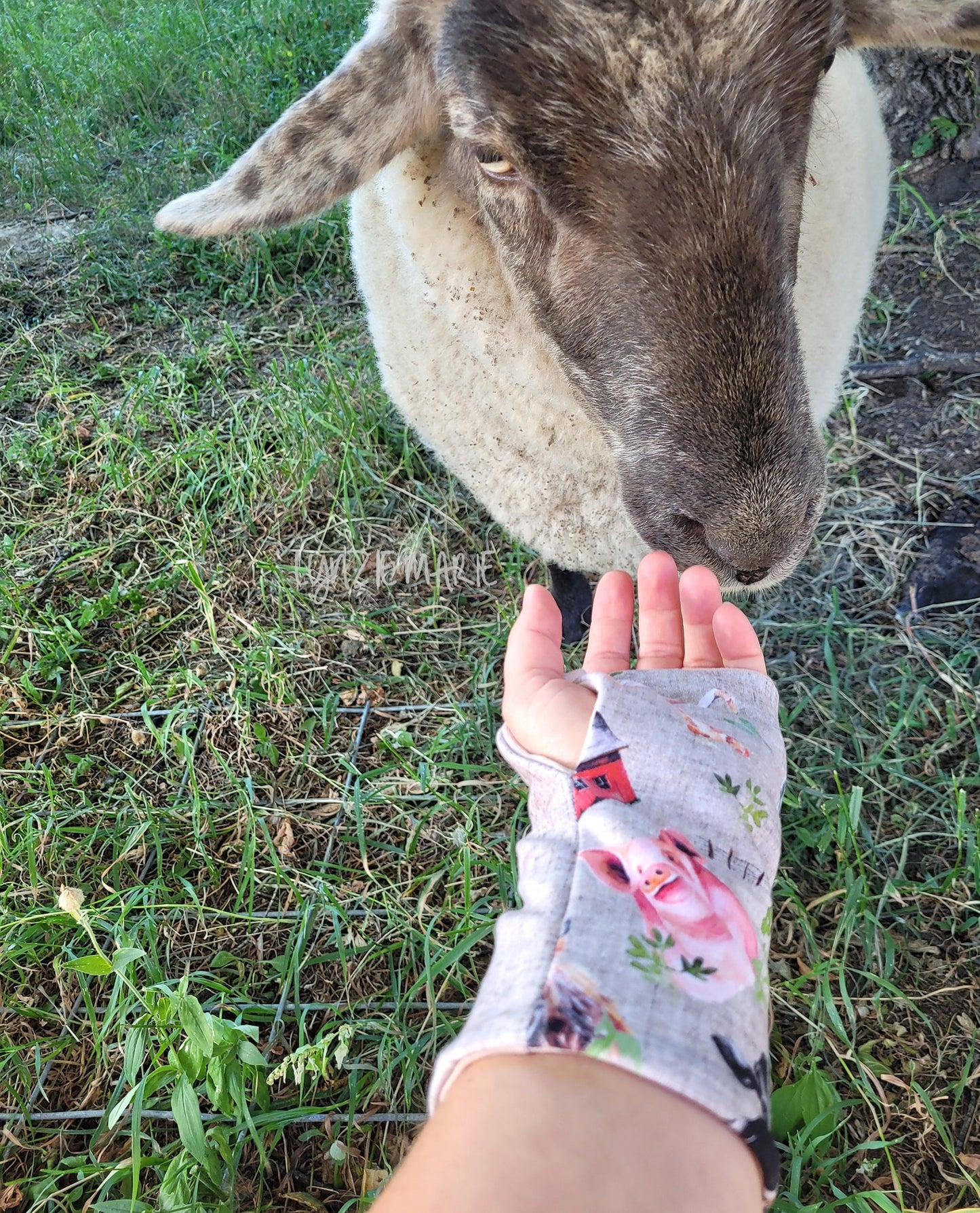 Menta Arm Warmer