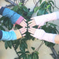 Menta Arm Warmer